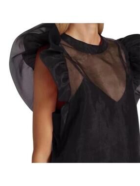 Joie Organza/sheer   Top with Puff Sleeve. Sz L